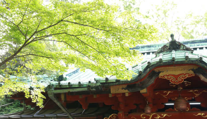 都内でおすすめ！開運神社⑩：赤坂氷川神社