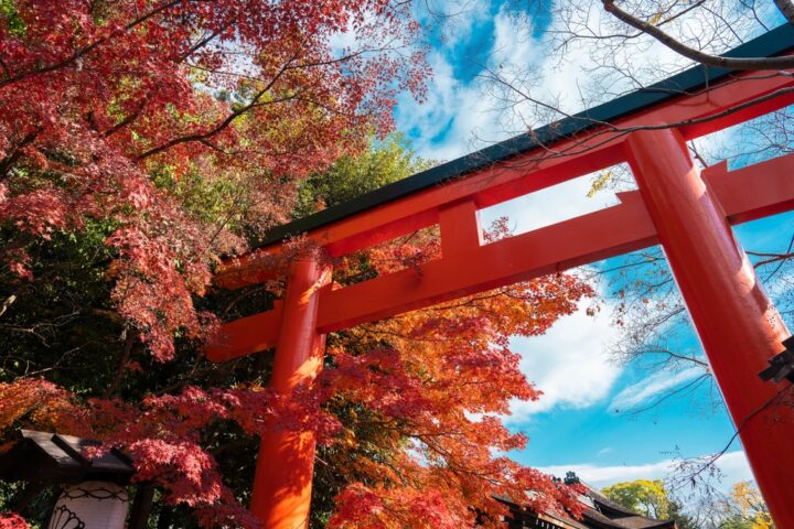 神社に呼ばれるスピリチュアルなサインとは？神社に呼ばれる感覚を解説！