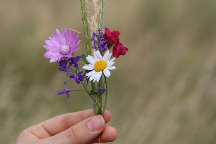 脈なしすぎる時の対処法は？諦めないで追いかけるときにすべきこと