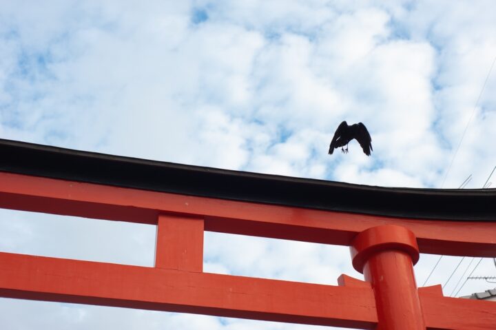 神社でカラスを見た