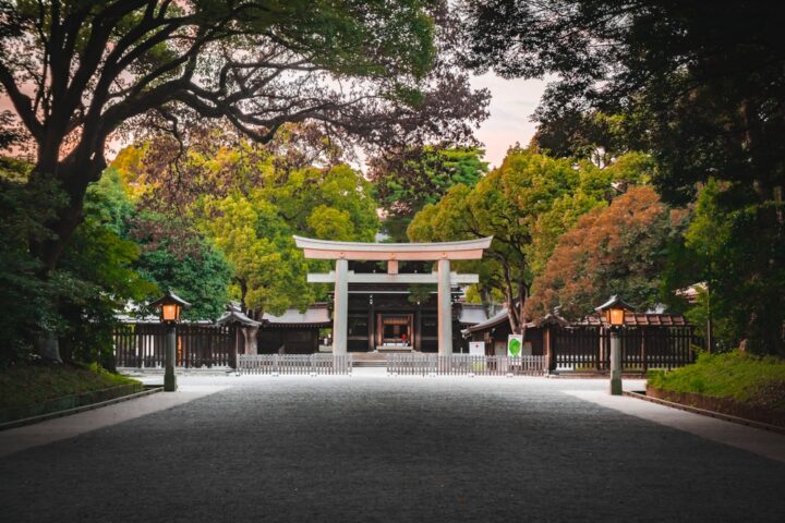 神社参拝後の好転反応による体調不良の対処法