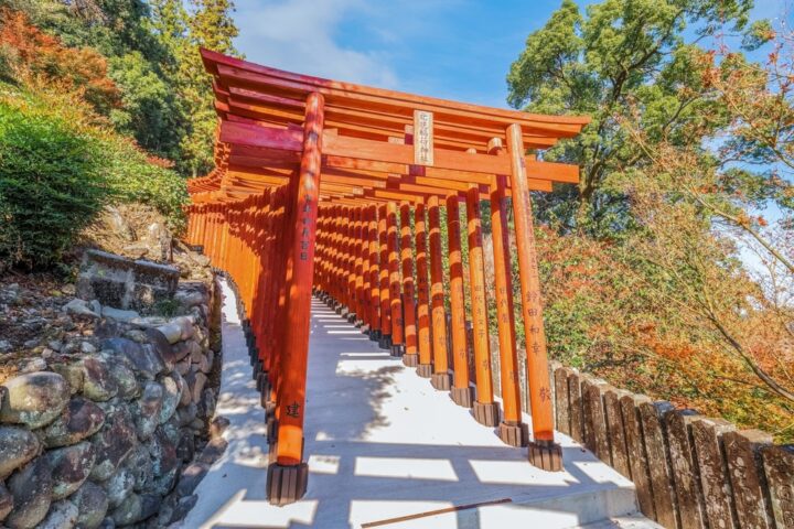 神社に再度参拝をする