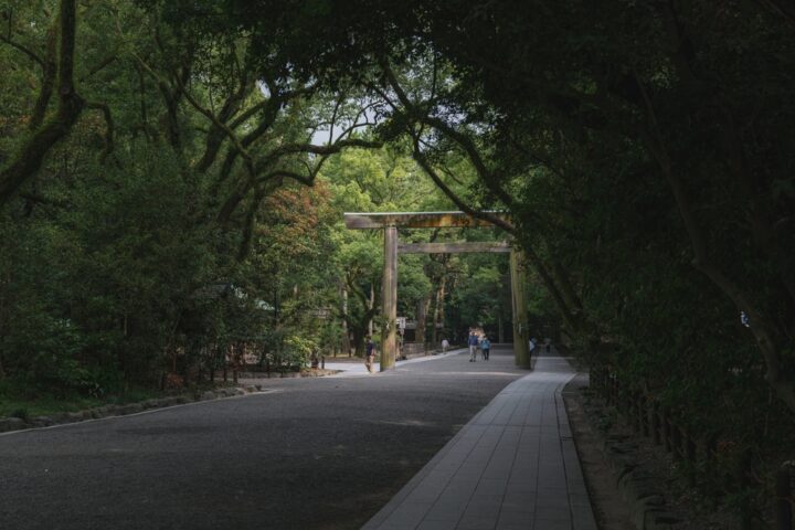 神社でイタチを見た