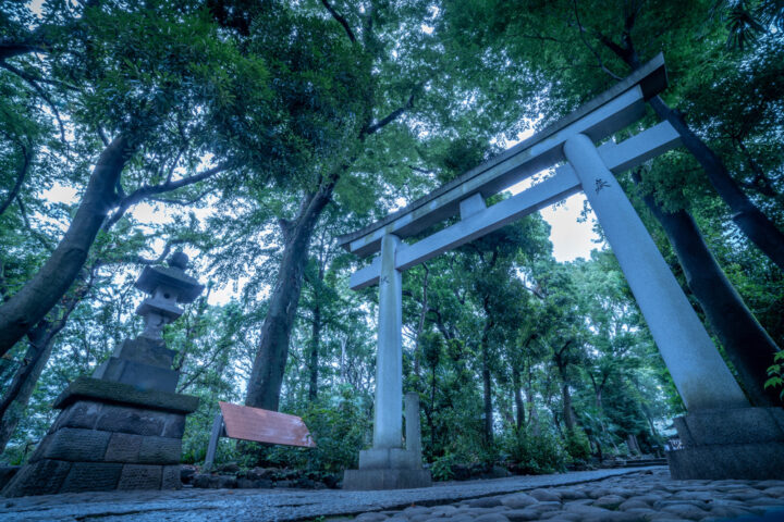 神社で蛇が出た時のスピリチュアルな意味