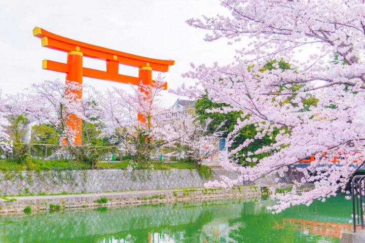 東京の厄除神社で最強の『明治神宮』