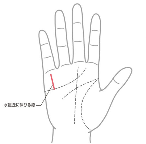 財運線が濃い