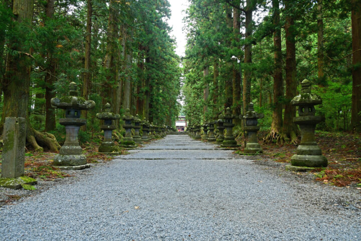 戸隠神社で見るべきスポット