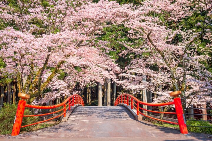 必ず願いが叶う神社！関西や近畿、大阪で願い事が叶う神社とは？ 