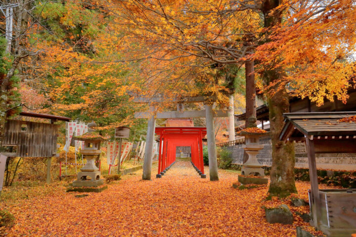 神社に歓迎されてないサインとは？神社に行かない方がいい人の特徴も解説！ 