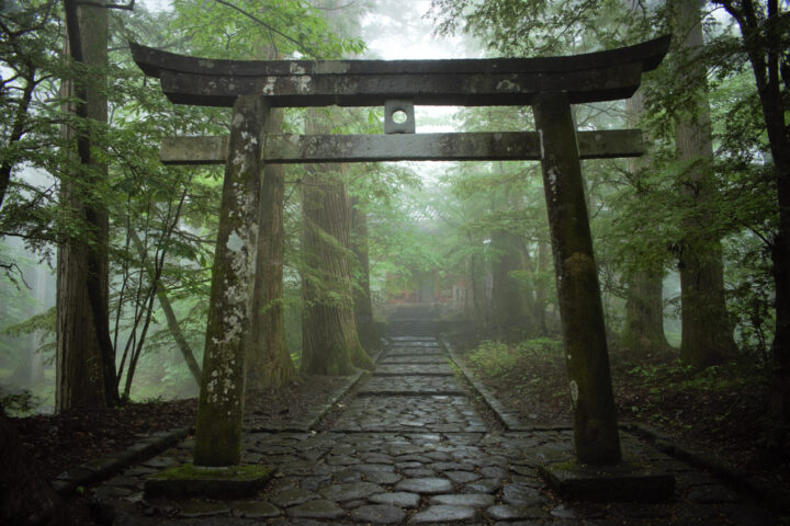 必ず願いが叶う神社！東京の最強開運神社でパワースポットなのは？ 